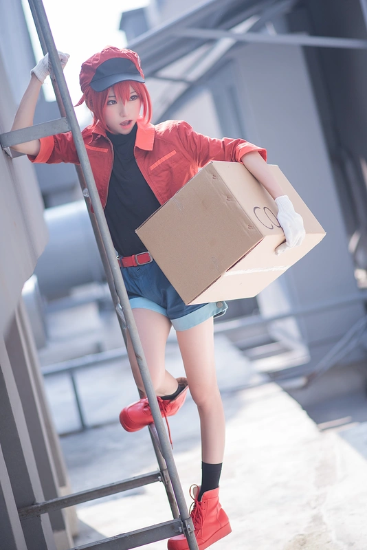 工作细胞2 - 绮太郎_Kitaro